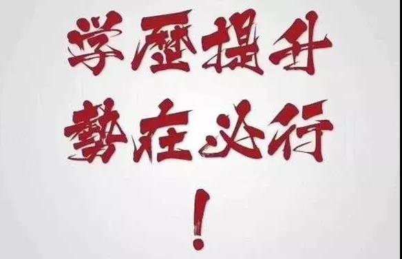 2020疫情年，“顶风作案”去留学的人却更多了