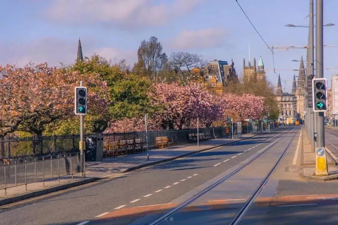 英国爱丁堡大学本科/硕士信息大全：排名、专业、学费、学制、招生条件、招生范围！