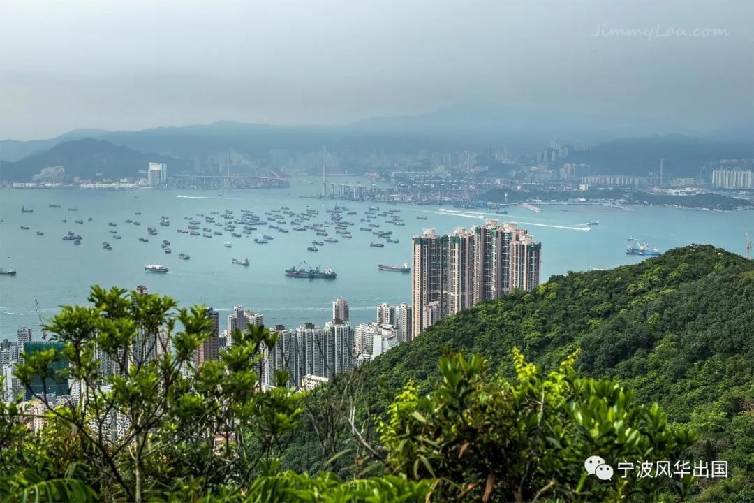 港澳名校录︱亚洲“常春藤”香港大学——自由和多元的学术圣地