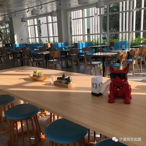 港澳名校录︱澳门科技大学——比肩985、跻身全球前300强的“后起之秀”
