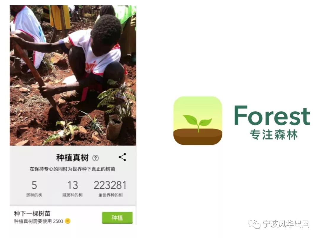 加油包｜2022考研党必备：APP+网站大盘点，别忘了借助“神器”来弯道超车！